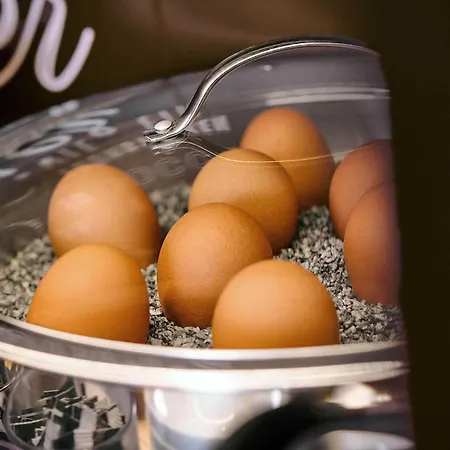 Rostock-broderstorf 3* Broderstorf